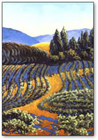Dawn Vineyard.jpg